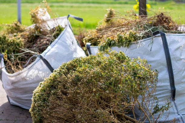 Reliable Potomac Park, CA Junk Removal Solutions